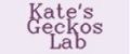 Kate’s Geckos Lab