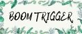 BOOM TRIGGER