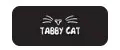 Tabby Cat
