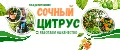 СОЧНЫЙ ЦИТРУС