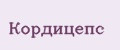 Кордицепс