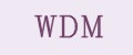 Аналитика бренда WDM на Wildberries