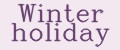 Аналитика бренда Winter Holiday на Wildberries