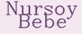 Nursoy Bebe