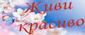 ЖИВИ КРАСИВО
