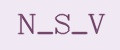 N_S_V