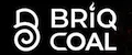 BRIQCOAL