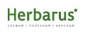 Аналитика бренда Herbarus на Wildberries