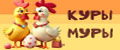 Куры Муры