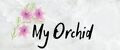 My Orchid
