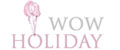 Аналитика бренда Wow holiday на Wildberries