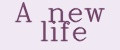 A new life