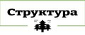 Структура 1