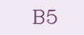 B5