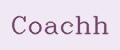 Аналитика бренда Coachh на Wildberries