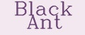 Black Ant