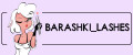 Barashki_lashes