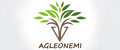 Аналитика бренда Agleonemi на Wildberries