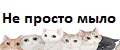Не просто мыло