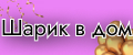 Шарик в дом