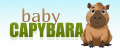 Аналитика бренда baby capybara на Wildberries