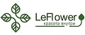 Аналитика бренда Leflower на Wildberries