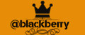 Аналитика бренда Blackberry brand на Wildberries