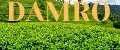 DAMRO