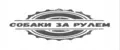 Собаки за рулем