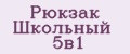 Рюкзак школьный 5в1