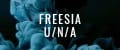Freesia U/N/A