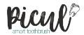 Picul Smart Toothbrush