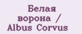Аналитика бренда Белая ворона / Albus Corvus на Wildberries