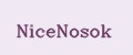 NiceNosok