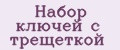 Набор ключей с трещеткой