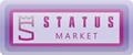 Аналитика бренда STATUS MARKET на Wildberries