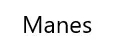Manes