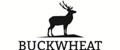 Аналитика бренда Buckwheat на Wildberries