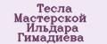 Тесла Мастерской Ильдара Гимадиева