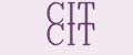Аналитика бренда CIT CIT на Wildberries