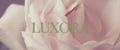 LUKSORA