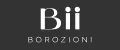 BOROZIONI