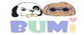 BUMI