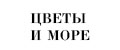 Цветы и море