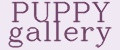 PUPPY gallery
