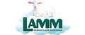 Аналитика бренда Lamm на Wildberries