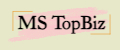 MS TopBiz