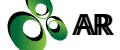 Аналитика бренда AR&LN на Wildberries