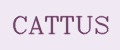 CATTUS