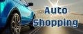 Auto Shopping